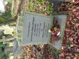 image of grave number 957926